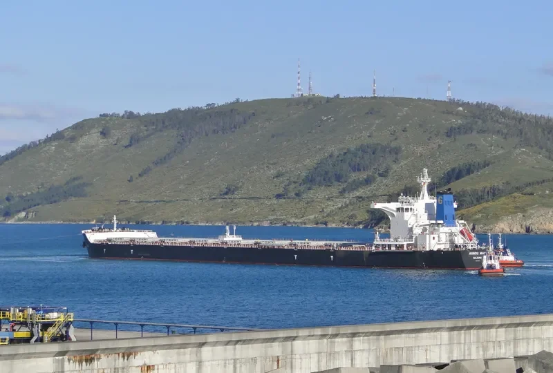 PIGASSOS Bulk Carrier IMO 9423073 photo 6