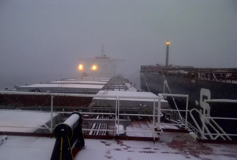 PIGASSOS Bulk Carrier IMO 9423073 photo 7