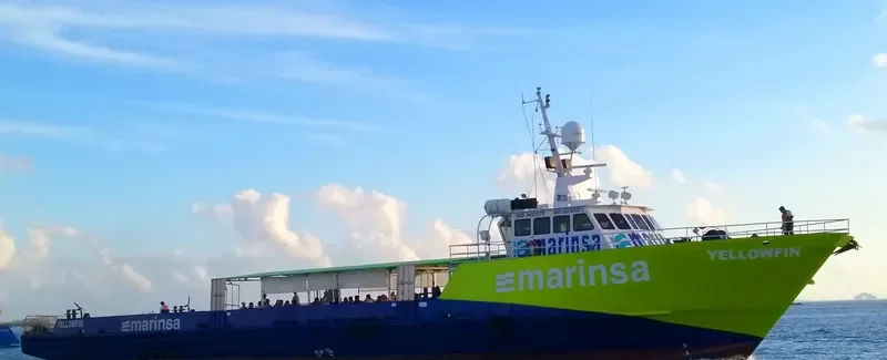 YELLOWFIN General Cargo IMO 9423279