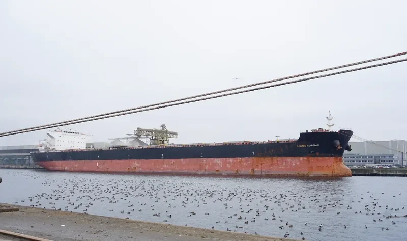YANNIS GORGIAS Bulk Carrier IMO 9423293 photo 3