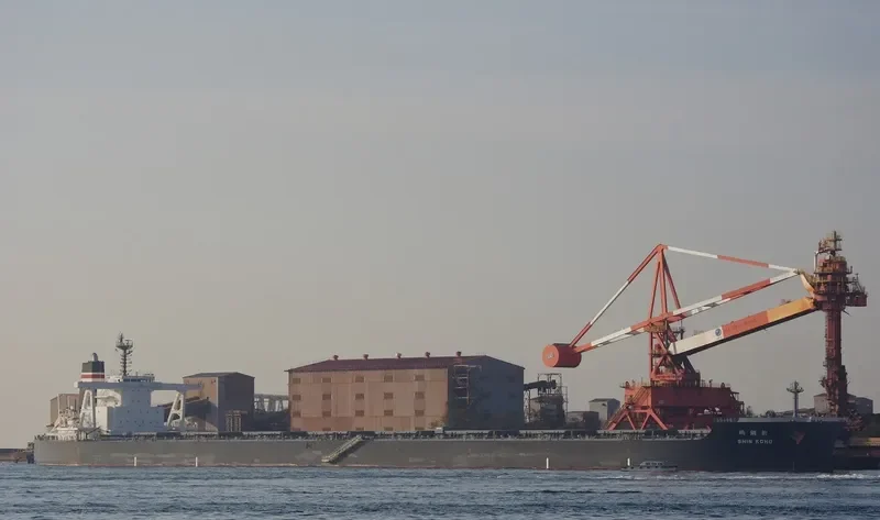 SHIN KOHO Bulk Carrier IMO 9423358 photo 3