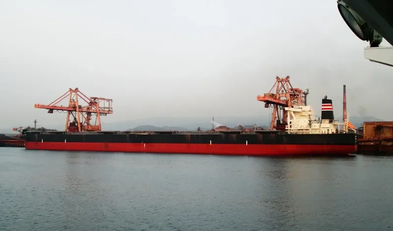 SHIN KOHO Bulk Carrier IMO 9423358 photo 5