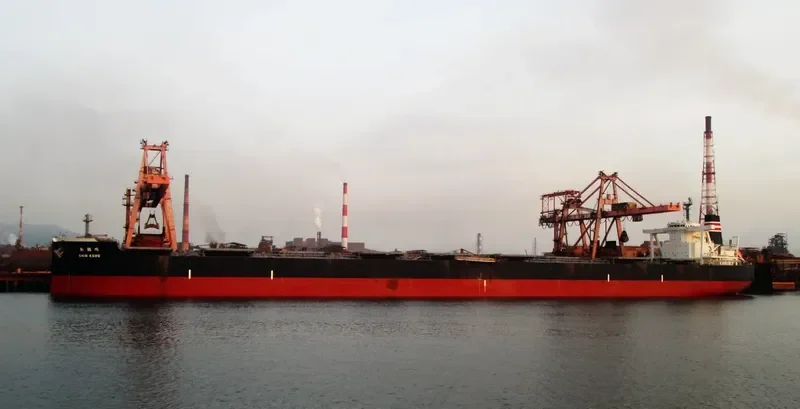 SHIN KOHO Bulk Carrier IMO 9423358 photo 6