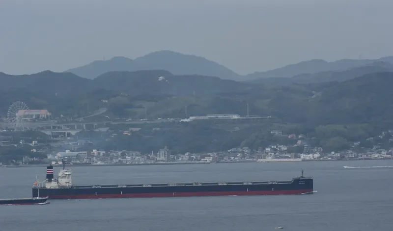 SHIN KOHO Bulk Carrier IMO 9423358 photo 8