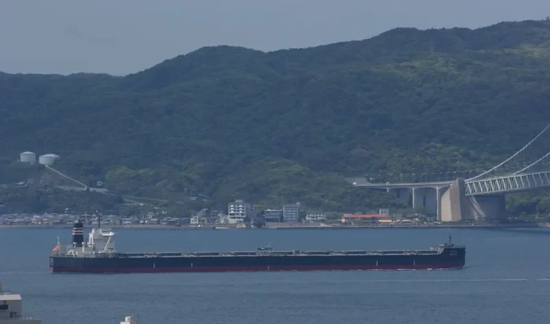 SHIN KOHO Bulk Carrier IMO 9423358 photo 9