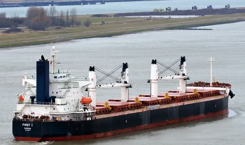NAVIOS AMARYLLIS Bulk Carrier IMO 9423487 photo 3