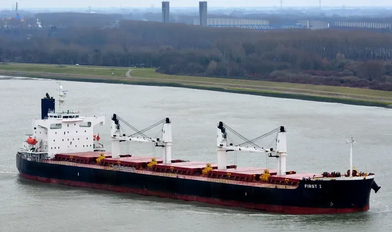 NAVIOS AMARYLLIS Bulk Carrier IMO 9423487 photo 5
