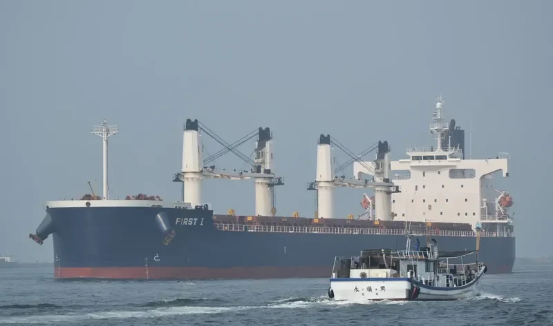 NAVIOS AMARYLLIS Bulk Carrier IMO 9423487 photo 6