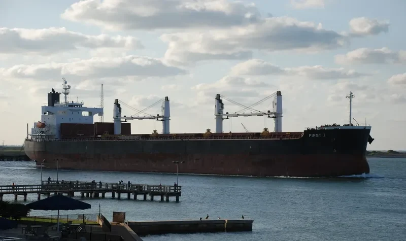 NAVIOS AMARYLLIS Bulk Carrier IMO 9423487 photo 9