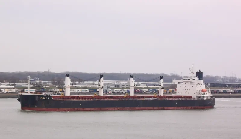 NAVIOS AMARYLLIS Bulk Carrier IMO 9423487 photo 10