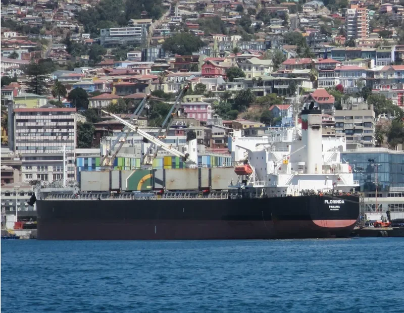 FLORINDA Bulk Carrier IMO 9423499