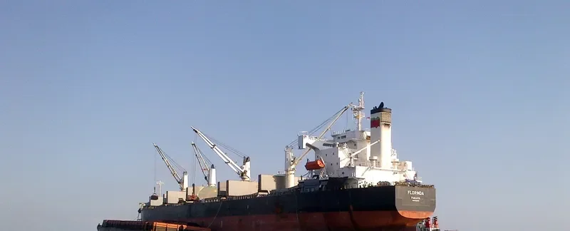 FLORINDA Bulk Carrier IMO 9423499 photo 5