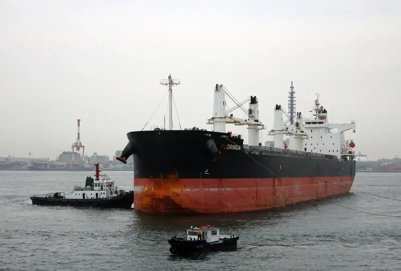FLORINDA Bulk Carrier IMO 9423499 photo 6