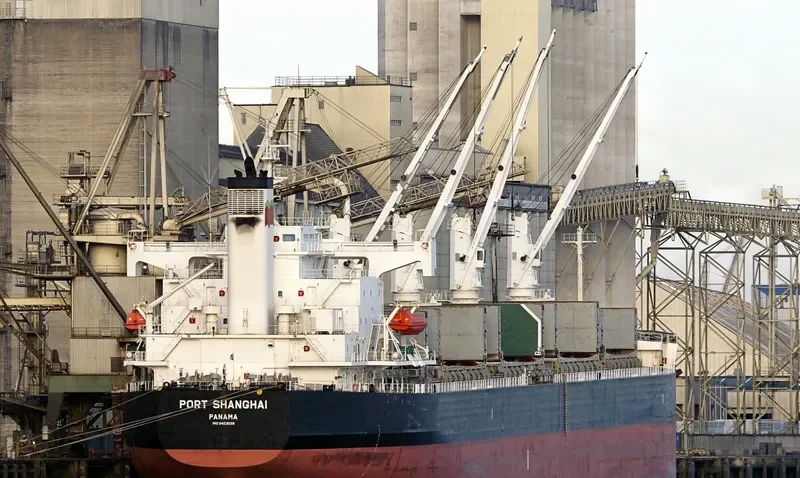 PORT SHANGHAI Bulk Carrier IMO 9423528
