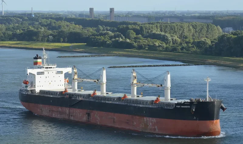 PORT SHANGHAI Bulk Carrier IMO 9423528 photo 6