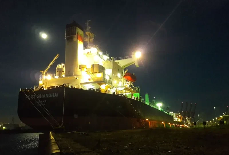PORT SHANGHAI Bulk Carrier IMO 9423528 photo 8