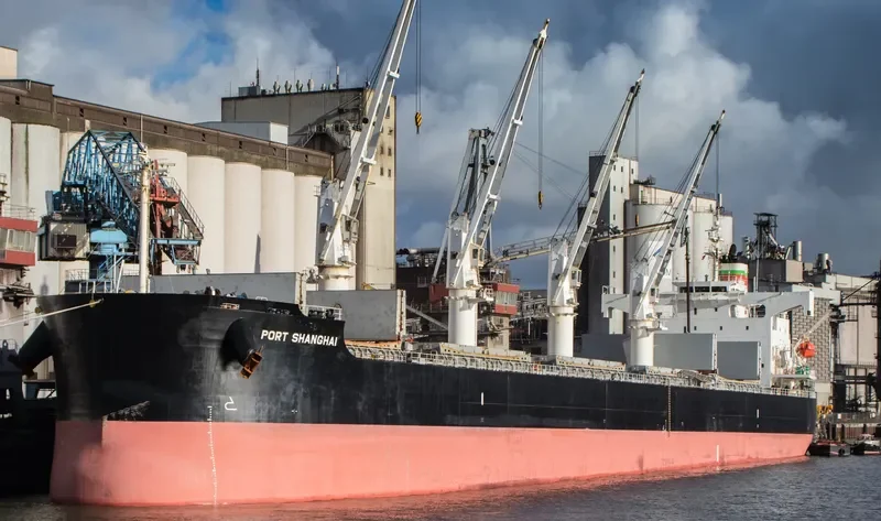 PORT SHANGHAI Bulk Carrier IMO 9423528 photo 9