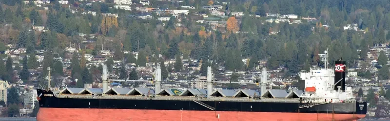 COLUMBIA Bulk Carrier IMO 9423530 photo 2