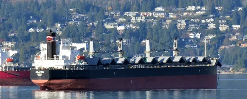 COLUMBIA Bulk Carrier IMO 9423530 photo 3