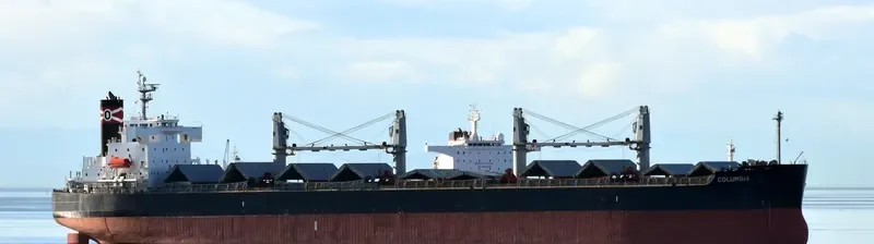 COLUMBIA Bulk Carrier IMO 9423530 photo 4