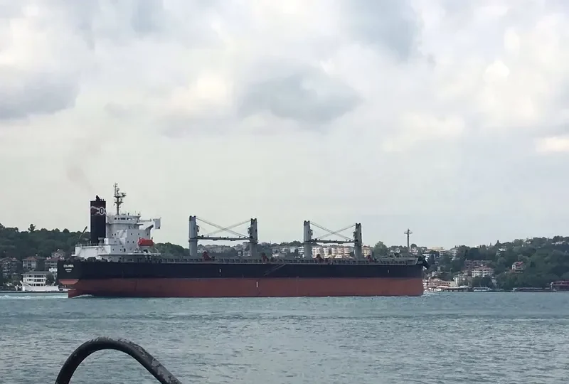 COLUMBIA Bulk Carrier IMO 9423530 photo 7