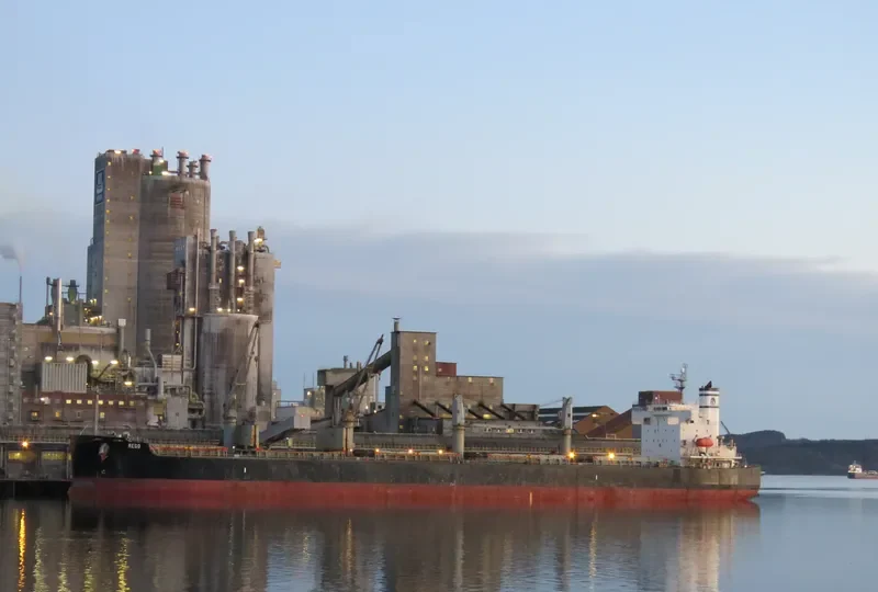 REGO Bulk Carrier IMO 9423554