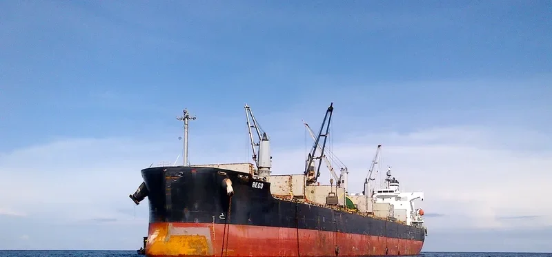 REGO Bulk Carrier IMO 9423554 photo 2