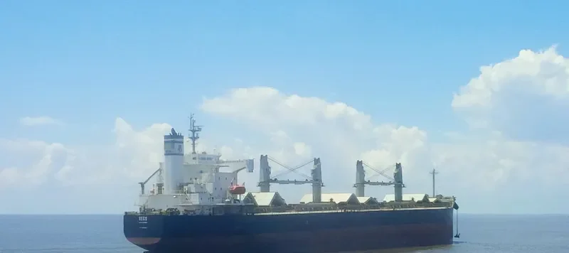 REGO Bulk Carrier IMO 9423554 photo 6