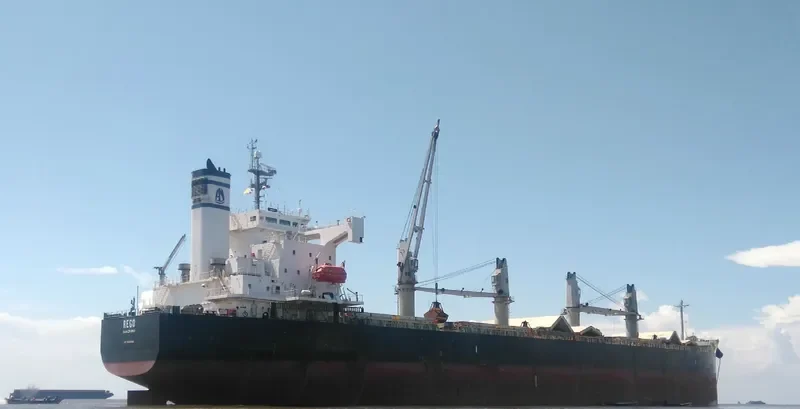 REGO Bulk Carrier IMO 9423554 photo 7