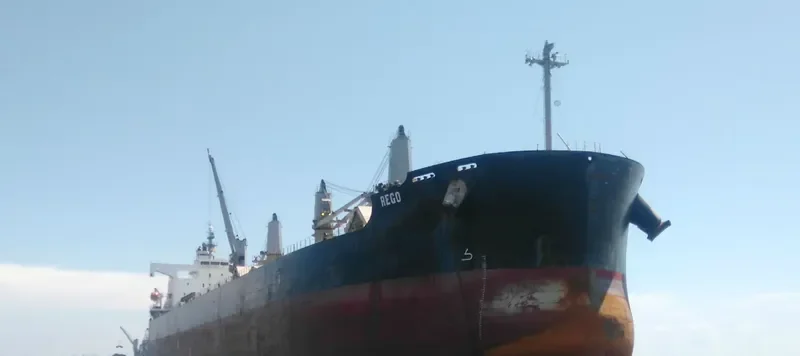 REGO Bulk Carrier IMO 9423554 photo 8
