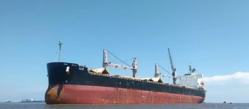 REGO Bulk Carrier IMO 9423554 photo 9