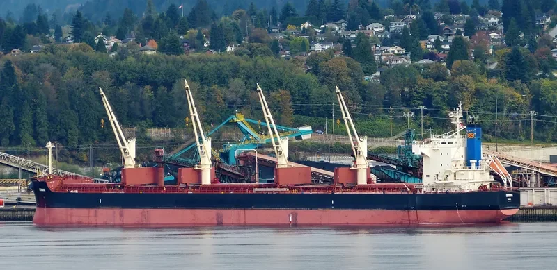 BERNINA Bulk Carrier IMO 9423580 photo 5