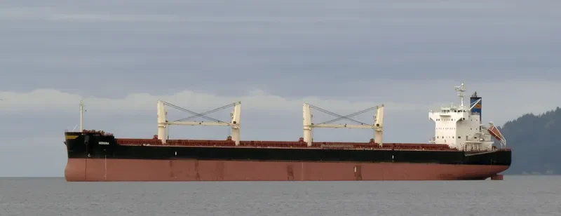 BERNINA Bulk Carrier IMO 9423580 photo 6