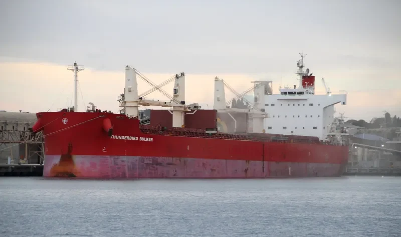 BERNINA Bulk Carrier IMO 9423580 photo 9