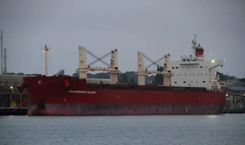 BERNINA Bulk Carrier IMO 9423580 photo 10
