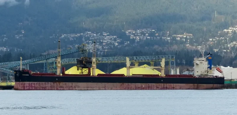 ENGIADINA Bulk Carrier IMO 9423592 photo 2