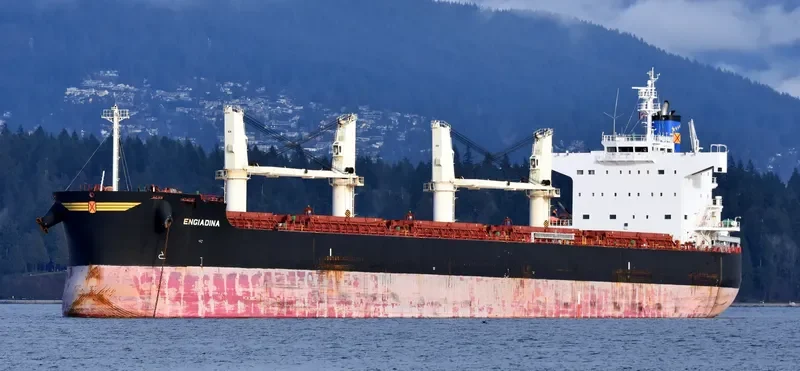 ENGIADINA Bulk Carrier IMO 9423592 photo 3