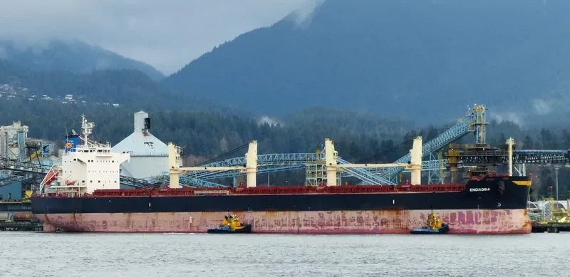 ENGIADINA Bulk Carrier IMO 9423592 photo 5