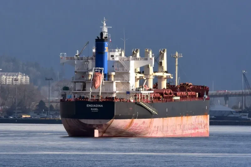 ENGIADINA Bulk Carrier IMO 9423592 photo 7