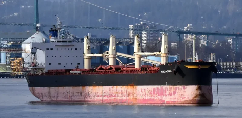 ENGIADINA Bulk Carrier IMO 9423592 photo 8