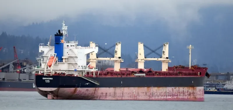 ENGIADINA Bulk Carrier IMO 9423592 photo 9