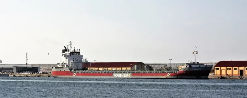 EEMSBORG Container Ship IMO 9423748