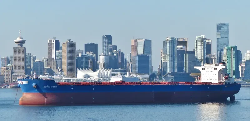 ALPHA FAITH Bulk Carrier IMO 9423774 photo 3