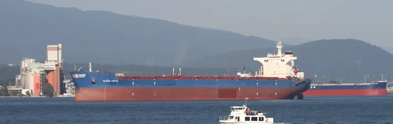 ALPHA FAITH Bulk Carrier IMO 9423774 photo 4
