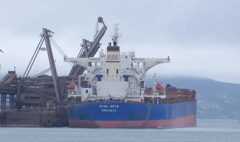 ALPHA FAITH Bulk Carrier IMO 9423774 photo 8