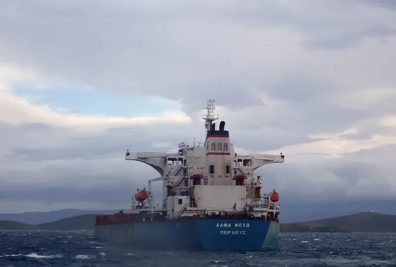 ALPHA FAITH Bulk Carrier IMO 9423774 photo 9
