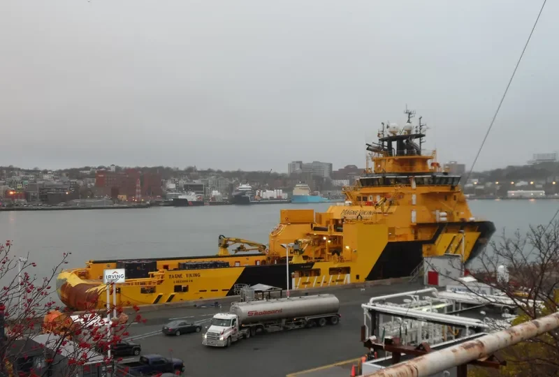 MAGNE VIKING General Cargo IMO 9423839 photo 6