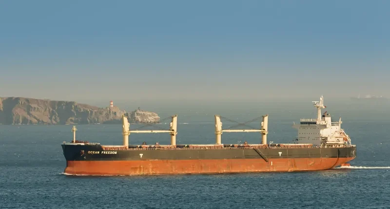 OCEAN FREEDOM Bulk Carrier IMO 9423932 photo 2