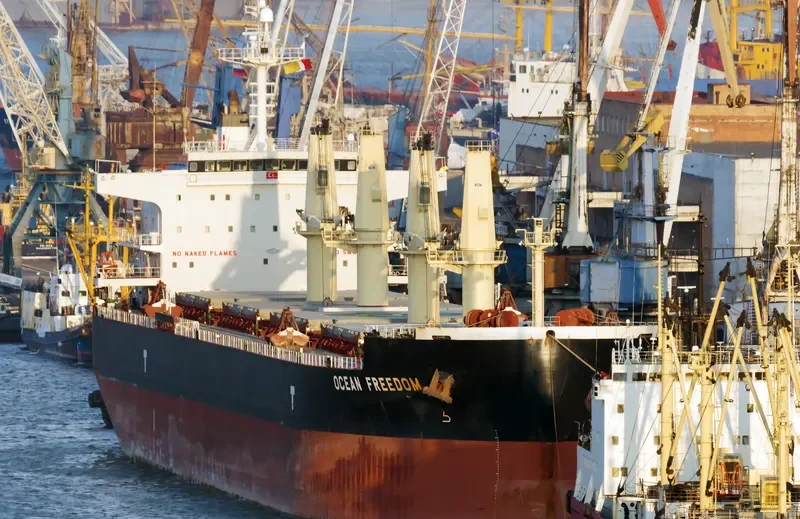 OCEAN FREEDOM Bulk Carrier IMO 9423932 photo 3