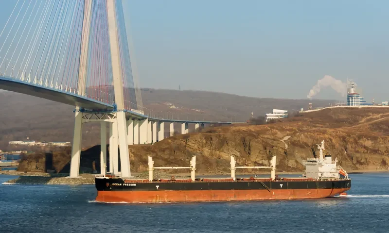 OCEAN FREEDOM Bulk Carrier IMO 9423932 photo 5